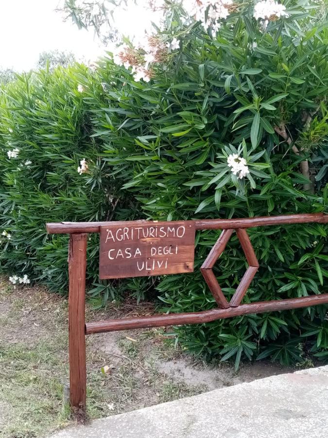Bed and Breakfast Casa Degli Ulivi Cerveteri Exterior foto