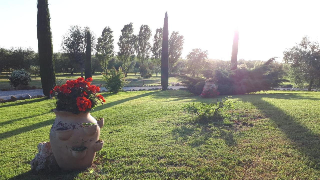 Bed and Breakfast Casa Degli Ulivi Cerveteri Exterior foto