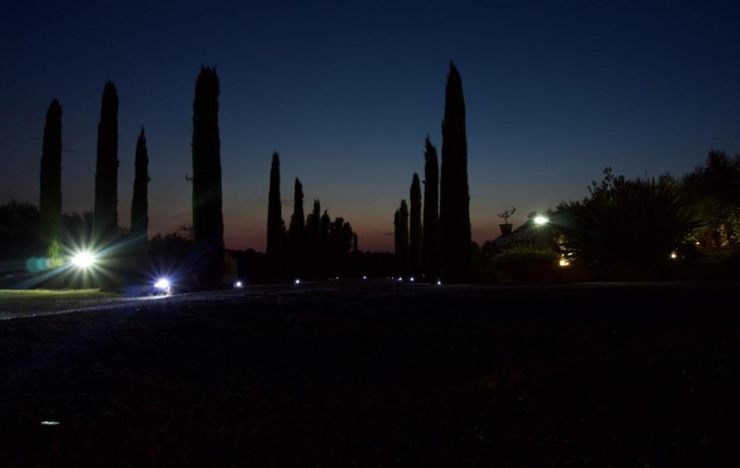 Bed and Breakfast Casa Degli Ulivi Cerveteri Exterior foto