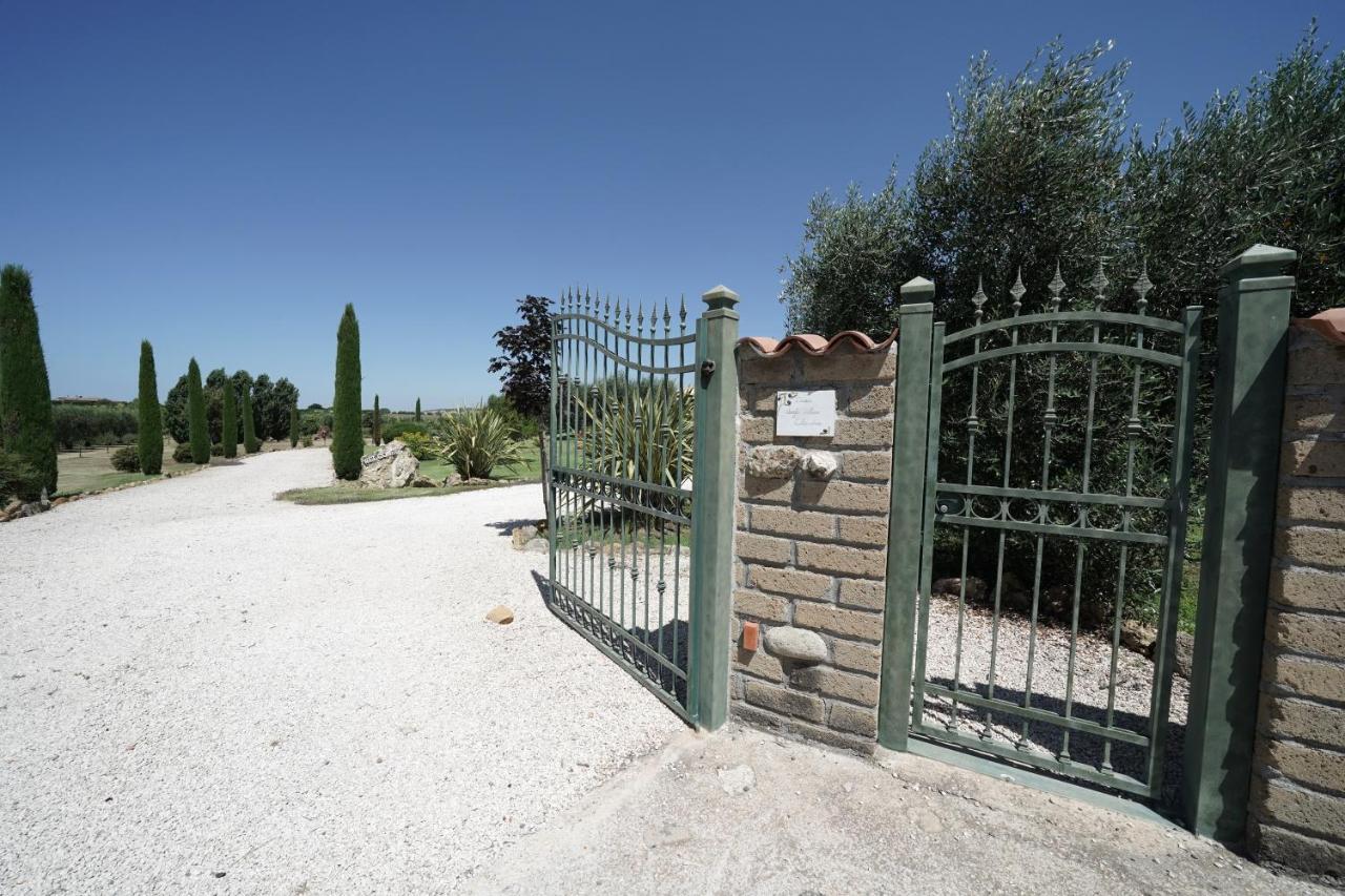 Bed and Breakfast Casa Degli Ulivi Cerveteri Exterior foto