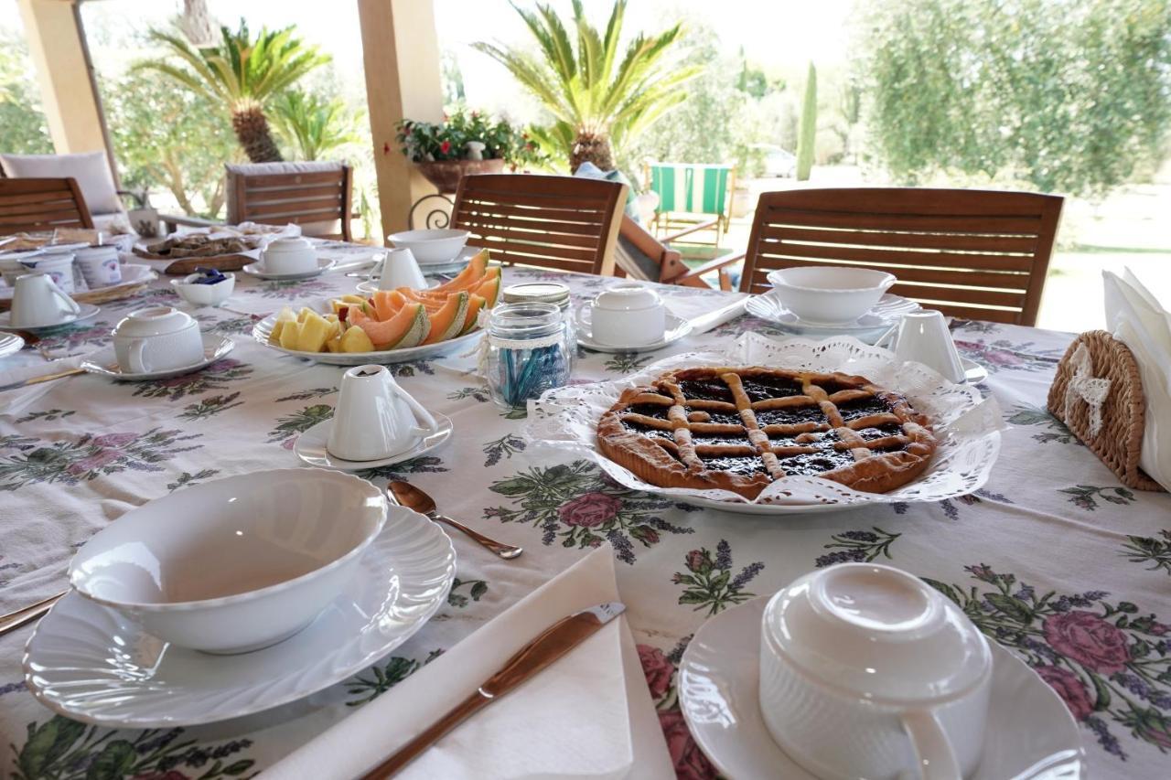 Bed and Breakfast Casa Degli Ulivi Cerveteri Exterior foto