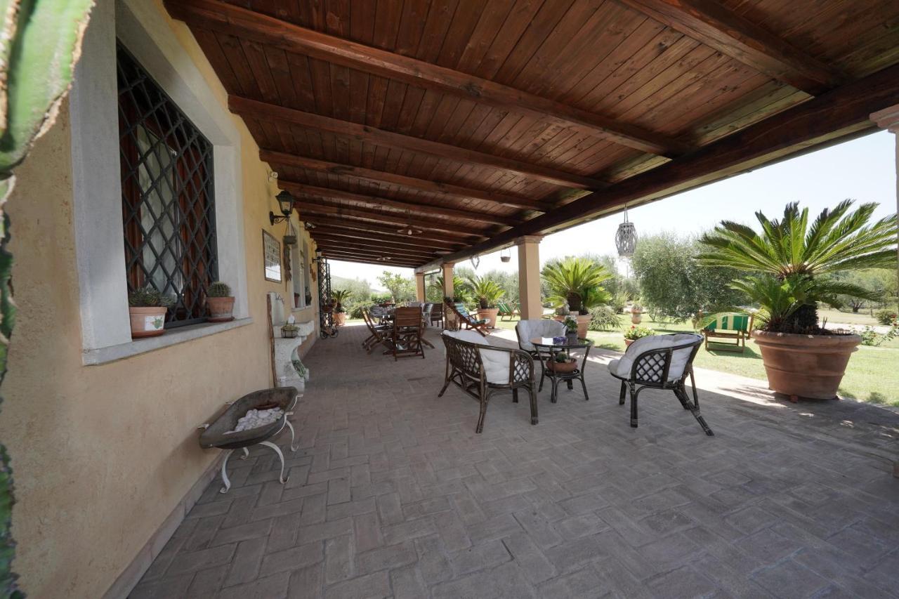 Bed and Breakfast Casa Degli Ulivi Cerveteri Exterior foto